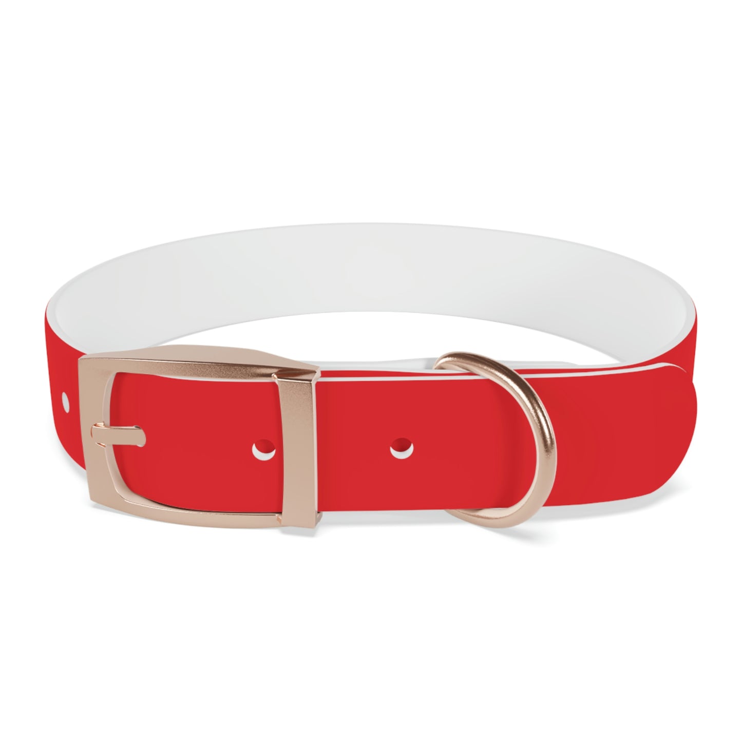 Copy of Dog Collar